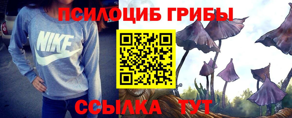 Галлюциногенные грибы мухоморы  Вход с VPN  Каменка 